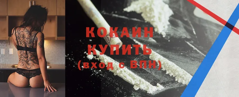 купить наркоту  Белая Холуница  OMG tor  Cocaine FishScale 